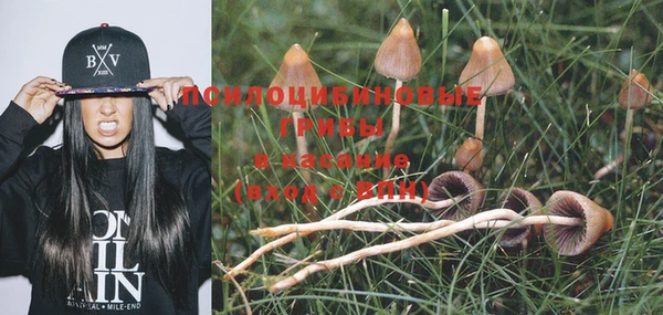 героин Абинск