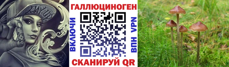 даркнет сайт  Тетюши  Галлюциногенные грибы мухоморы 